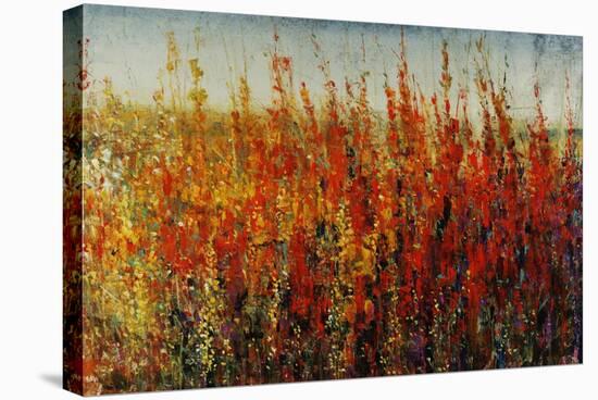 Wildflowers in Summer-Tim O'toole-Stretched Canvas