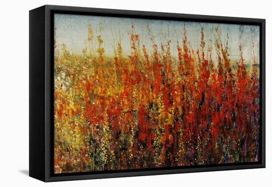 Wildflowers in Summer-Tim O'toole-Framed Stretched Canvas