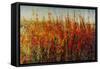 Wildflowers in Summer-Tim O'toole-Framed Stretched Canvas