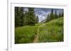 Wildflowers in the Albion Basin, Uinta Wasatch Cache Mountains, Utah-Howie Garber-Framed Photographic Print