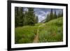 Wildflowers in the Albion Basin, Uinta Wasatch Cache Mountains, Utah-Howie Garber-Framed Photographic Print