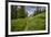 Wildflowers in the Albion Basin, Uinta Wasatch Cache Mountains, Utah-Howie Garber-Framed Photographic Print