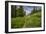 Wildflowers in the Albion Basin, Uinta Wasatch Cache Mountains, Utah-Howie Garber-Framed Photographic Print