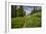 Wildflowers in the Albion Basin, Uinta Wasatch Cache Mountains, Utah-Howie Garber-Framed Photographic Print