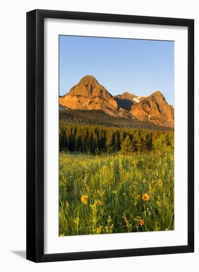 Wildflowers in the Cut Bank Valley of Glacier National Park, Montana, USA-Chuck Haney-Framed Photographic Print