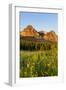 Wildflowers in the Cut Bank Valley of Glacier National Park, Montana, USA-Chuck Haney-Framed Photographic Print