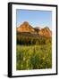 Wildflowers in the Cut Bank Valley of Glacier National Park, Montana, USA-Chuck Haney-Framed Photographic Print