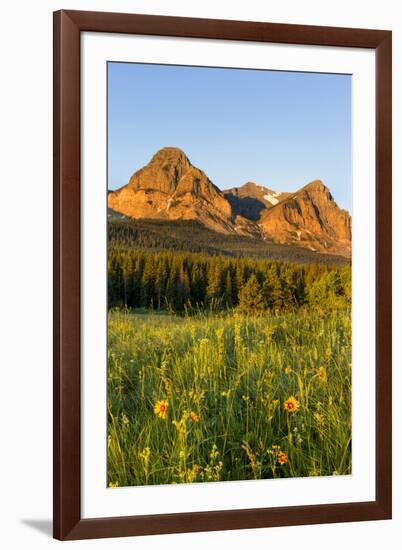 Wildflowers in the Cut Bank Valley of Glacier National Park, Montana, USA-Chuck Haney-Framed Photographic Print