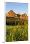 Wildflowers in the Cut Bank Valley of Glacier National Park, Montana, USA-Chuck Haney-Framed Photographic Print