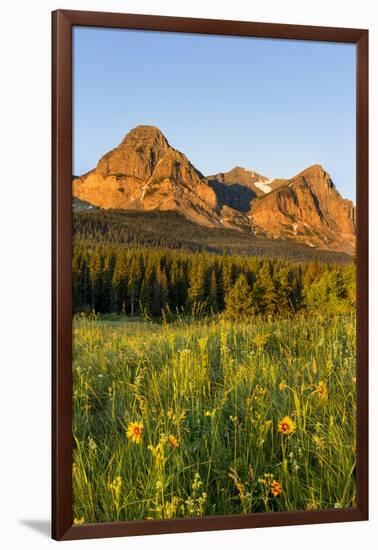 Wildflowers in the Cut Bank Valley of Glacier National Park, Montana, USA-Chuck Haney-Framed Photographic Print