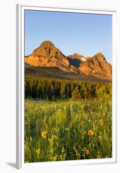 Wildflowers in the Cut Bank Valley of Glacier National Park, Montana, USA-Chuck Haney-Framed Premium Photographic Print