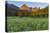 Wildflowers in the Cut Bank Valley of Glacier National Park, Montana, USA-Chuck Haney-Stretched Canvas