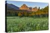 Wildflowers in the Cut Bank Valley of Glacier National Park, Montana, USA-Chuck Haney-Stretched Canvas