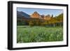 Wildflowers in the Cut Bank Valley of Glacier National Park, Montana, USA-Chuck Haney-Framed Photographic Print