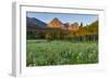 Wildflowers in the Cut Bank Valley of Glacier National Park, Montana, USA-Chuck Haney-Framed Photographic Print
