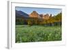 Wildflowers in the Cut Bank Valley of Glacier National Park, Montana, USA-Chuck Haney-Framed Photographic Print