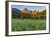 Wildflowers in the Cut Bank Valley of Glacier National Park, Montana, USA-Chuck Haney-Framed Photographic Print