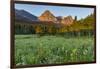 Wildflowers in the Cut Bank Valley of Glacier National Park, Montana, USA-Chuck Haney-Framed Photographic Print