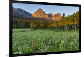 Wildflowers in the Cut Bank Valley of Glacier National Park, Montana, USA-Chuck Haney-Framed Photographic Print