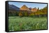 Wildflowers in the Cut Bank Valley of Glacier National Park, Montana, USA-Chuck Haney-Framed Stretched Canvas
