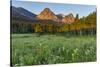 Wildflowers in the Cut Bank Valley of Glacier National Park, Montana, USA-Chuck Haney-Stretched Canvas