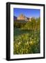 Wildflowers in the Cut Bank Valley of Glacier National Park, Montana, USA-Chuck Haney-Framed Photographic Print