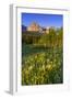 Wildflowers in the Cut Bank Valley of Glacier National Park, Montana, USA-Chuck Haney-Framed Photographic Print