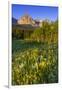 Wildflowers in the Cut Bank Valley of Glacier National Park, Montana, USA-Chuck Haney-Framed Photographic Print