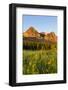 Wildflowers in the Cut Bank Valley of Glacier National Park, Montana, USA-Chuck Haney-Framed Photographic Print