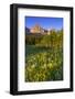 Wildflowers in the Cut Bank Valley of Glacier National Park, Montana, USA-Chuck Haney-Framed Photographic Print