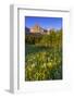 Wildflowers in the Cut Bank Valley of Glacier National Park, Montana, USA-Chuck Haney-Framed Photographic Print