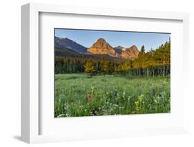 Wildflowers in the Cut Bank Valley of Glacier National Park, Montana, USA-Chuck Haney-Framed Photographic Print