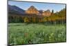 Wildflowers in the Cut Bank Valley of Glacier National Park, Montana, USA-Chuck Haney-Mounted Photographic Print