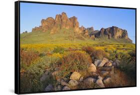 Wildflowers in the Desert-DLILLC-Framed Stretched Canvas