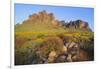 Wildflowers in the Desert-DLILLC-Framed Photographic Print