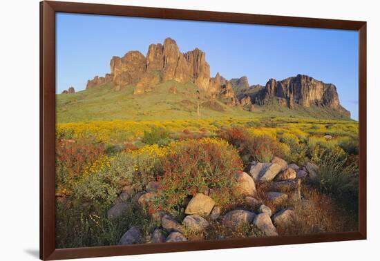 Wildflowers in the Desert-DLILLC-Framed Photographic Print