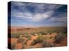 Wildflowers in the Harsh Arizona Desert-Carol Highsmith-Stretched Canvas