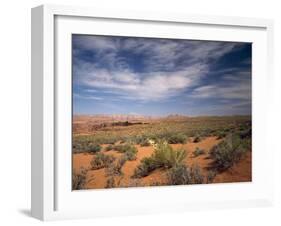 Wildflowers in the Harsh Arizona Desert-Carol Highsmith-Framed Photo