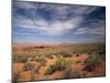 Wildflowers in the Harsh Arizona Desert-Carol Highsmith-Mounted Photo