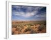 Wildflowers in the Harsh Arizona Desert-Carol Highsmith-Framed Photo