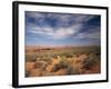 Wildflowers in the Harsh Arizona Desert-Carol Highsmith-Framed Photo