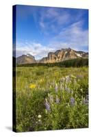 Wildflowers in the Many Glacier Valley of Glacier National Park, Montana, USA-Chuck Haney-Stretched Canvas