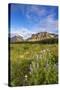 Wildflowers in the Many Glacier Valley of Glacier National Park, Montana, USA-Chuck Haney-Stretched Canvas