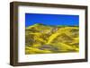 Wildflowers in the Temblor Range, Carrizo Plain National Monument, California, USA.-Russ Bishop-Framed Photographic Print