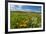 Wildflowers in Walla Walla Wine Country, Walla Walla, Washington, USA-Richard Duval-Framed Photographic Print