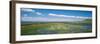 Wildflowers in Wetland, Malheur National Wildlife Refuge, Burns, Oregon, USA-null-Framed Premium Photographic Print