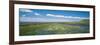 Wildflowers in Wetland, Malheur National Wildlife Refuge, Burns, Oregon, USA-null-Framed Photographic Print