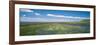 Wildflowers in Wetland, Malheur National Wildlife Refuge, Burns, Oregon, USA-null-Framed Photographic Print