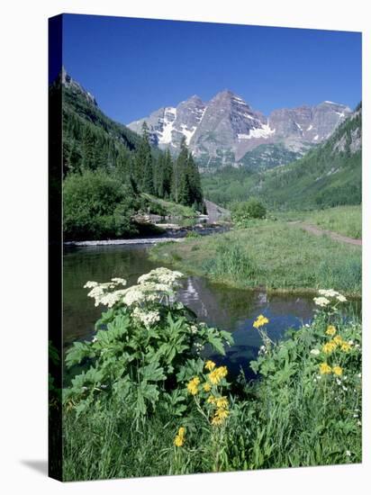 Wildflowers, Maroon Bells, CO-David Carriere-Stretched Canvas