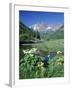 Wildflowers, Maroon Bells, CO-David Carriere-Framed Premium Photographic Print